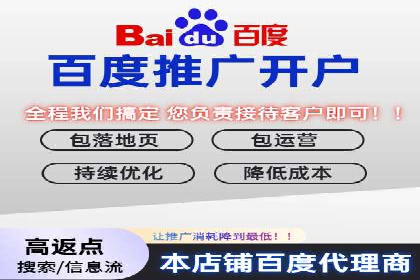SEM服务公司成功案例解读